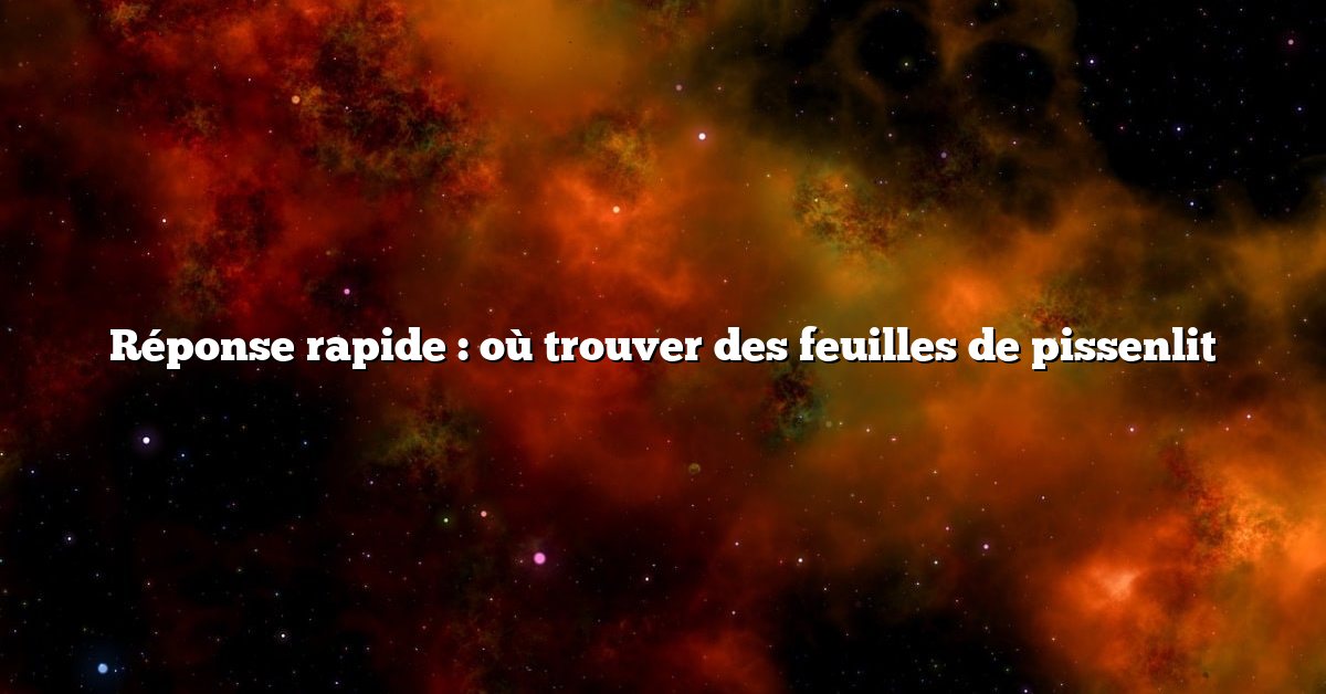 Réponse rapide : où trouver des feuilles de pissenlit